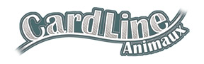 Tournoi enfant Cardline
